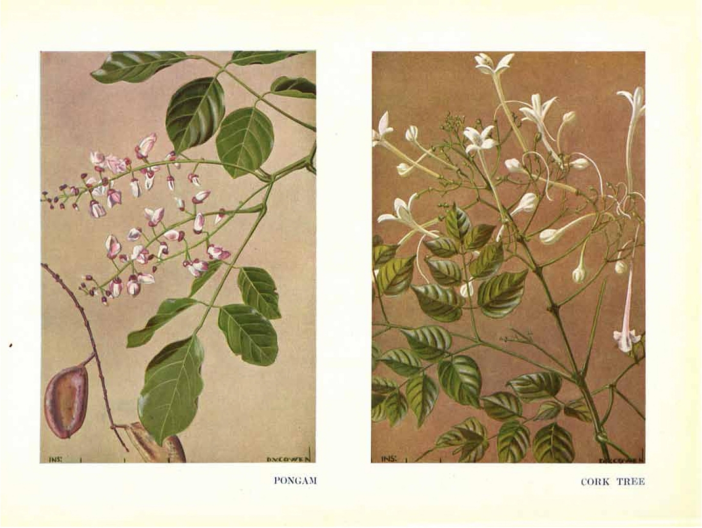 no HD illustration available (3)