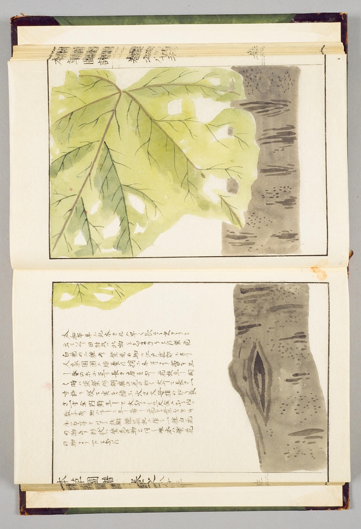 no HD illustration available (3)