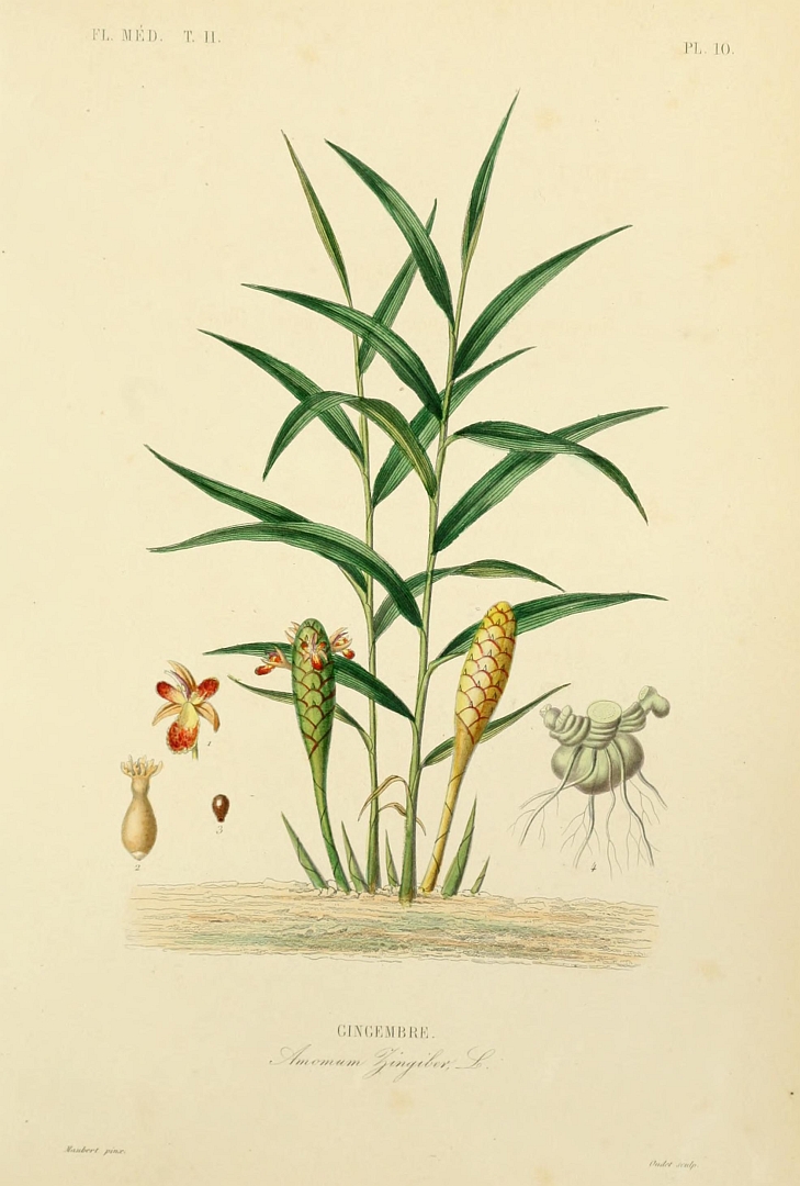 no HD illustration available (3)