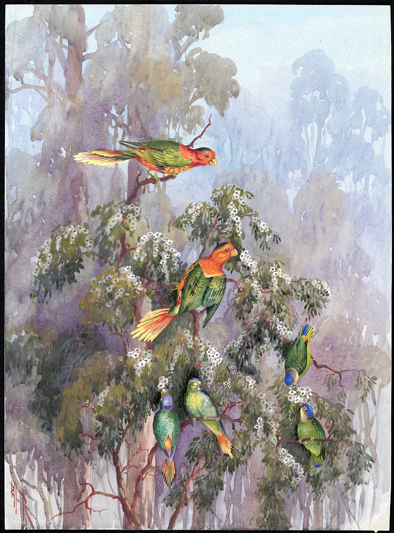 no HD illustration available (3)