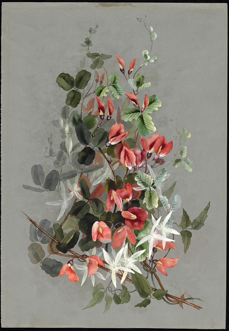 no HD illustration available (3)