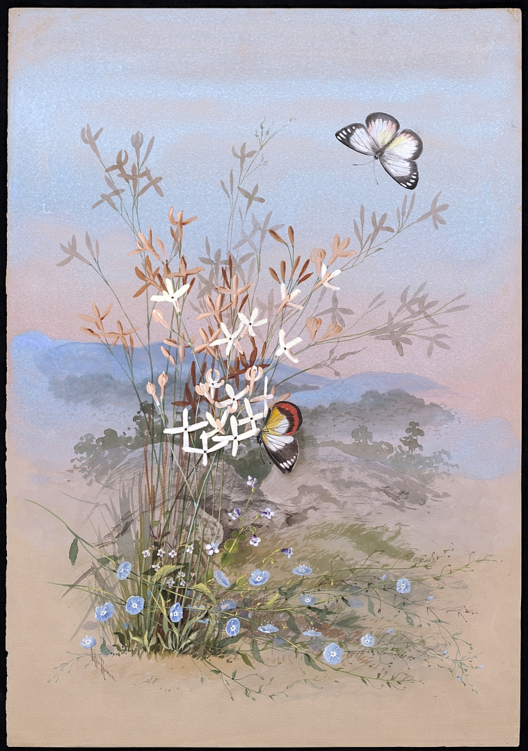 no HD illustration available (3)
