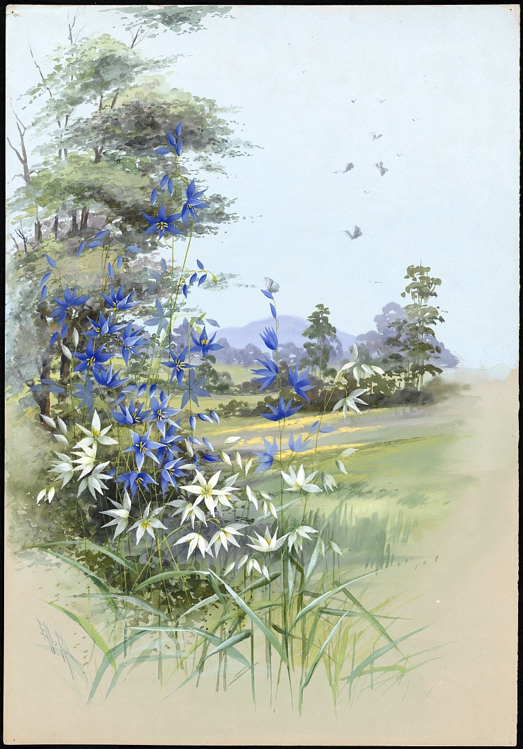 no HD illustration available (3)