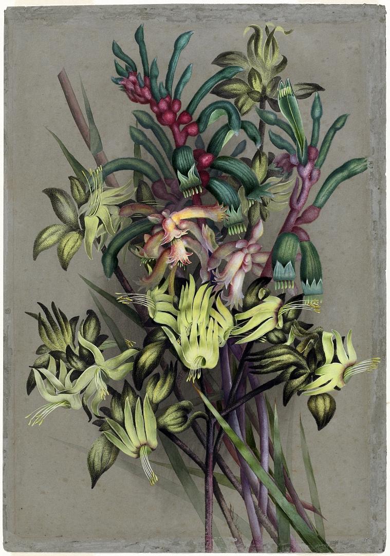 no HD illustration available (3)