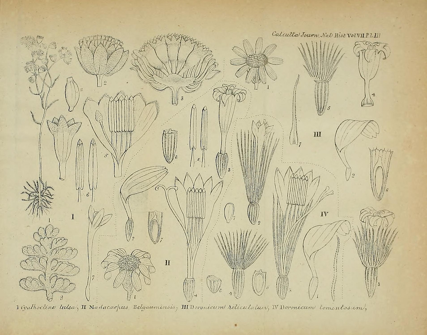 no HD illustration available (3)