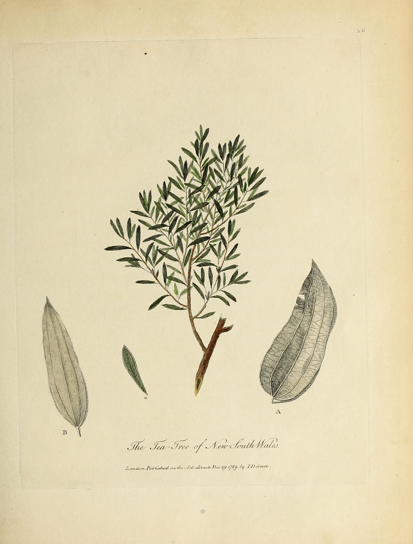 no HD illustration available (3)