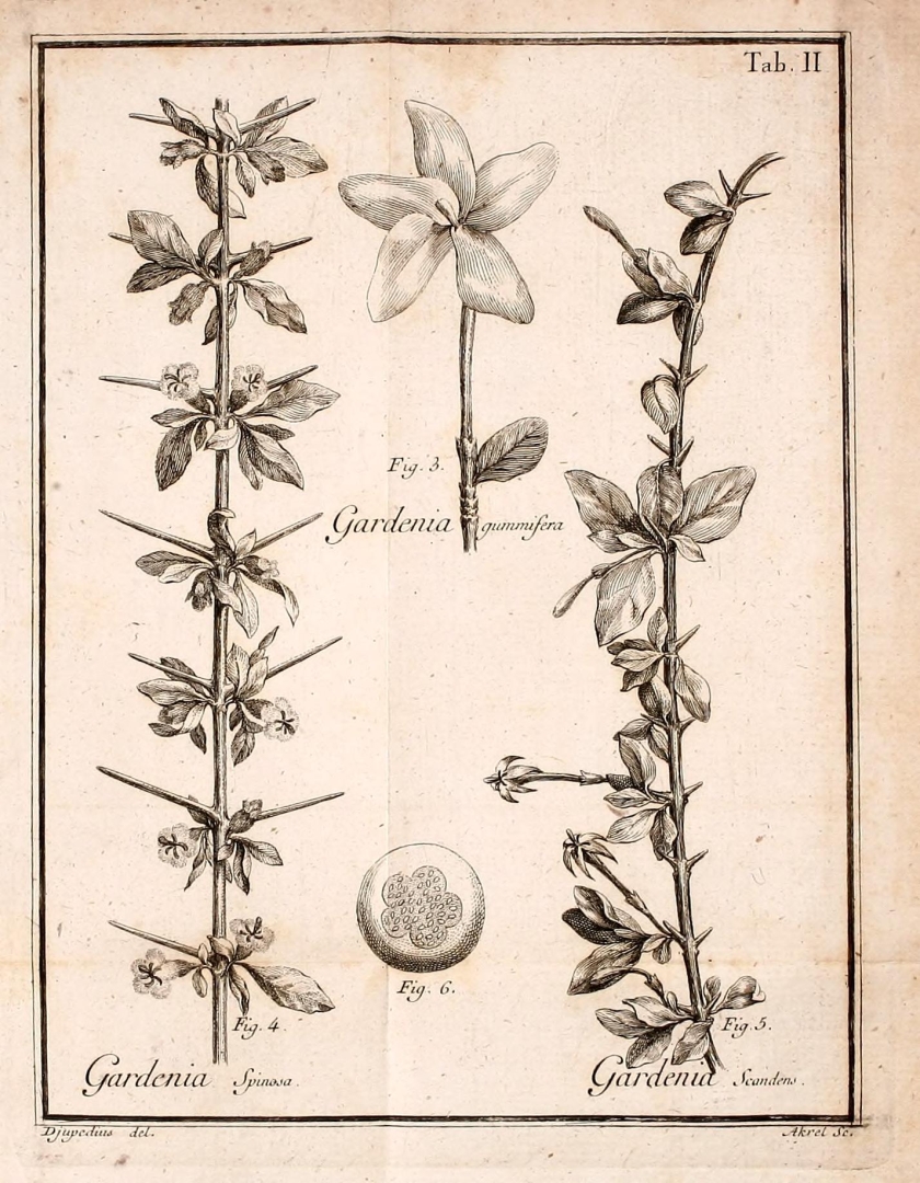 no HD illustration available (3)