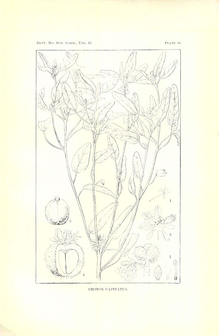 no HD illustration available (3)