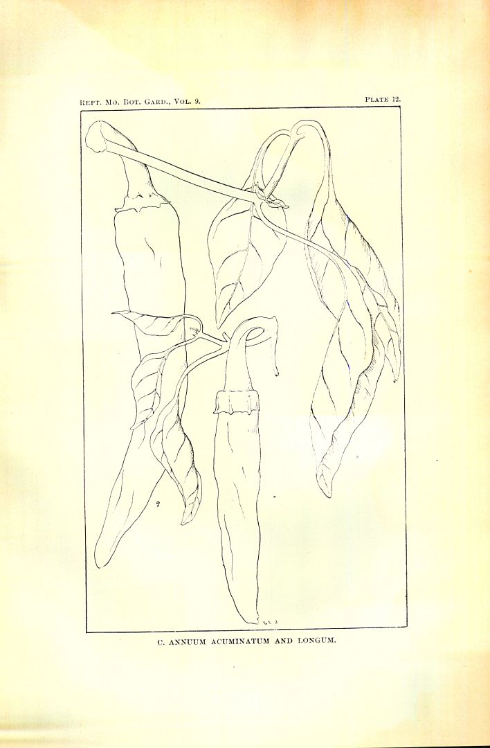 no HD illustration available (3)