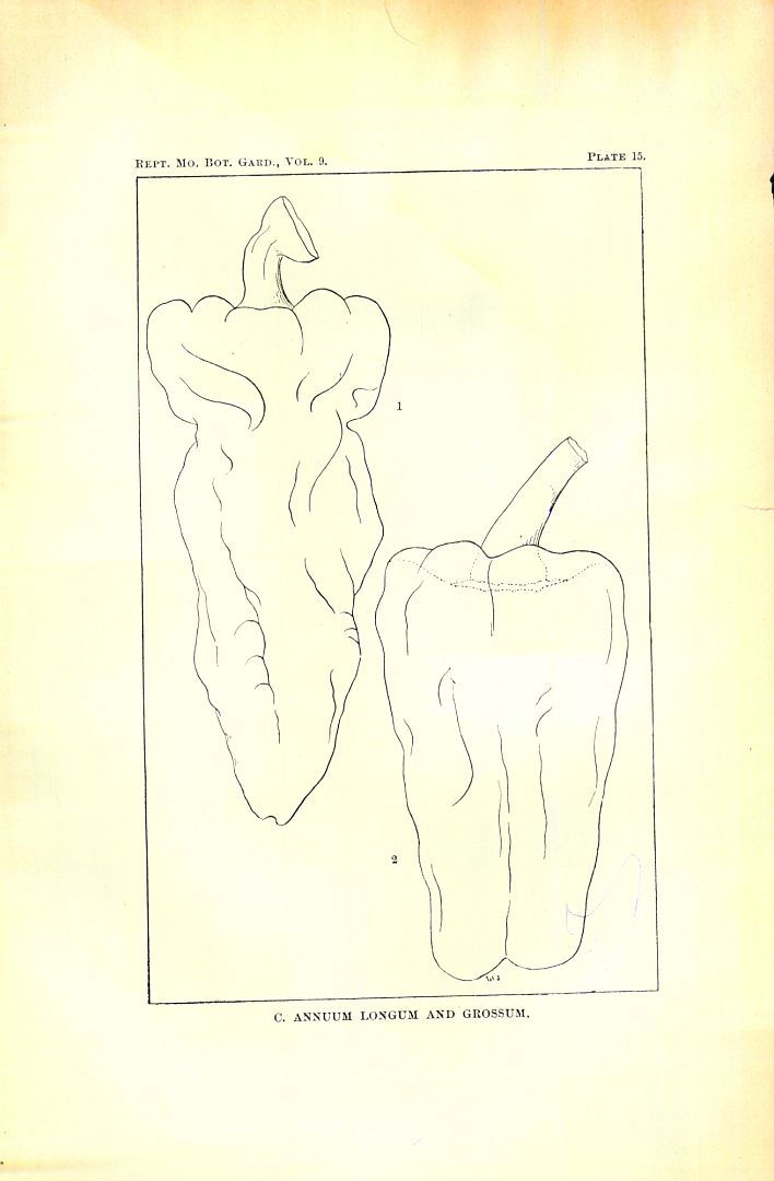 no HD illustration available (3)