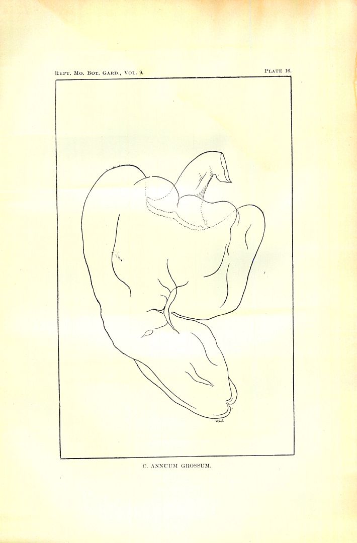 no HD illustration available (3)