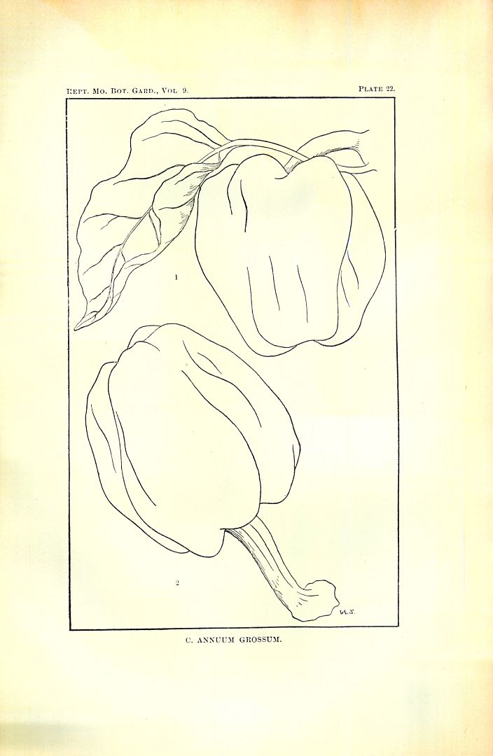 no HD illustration available (3)