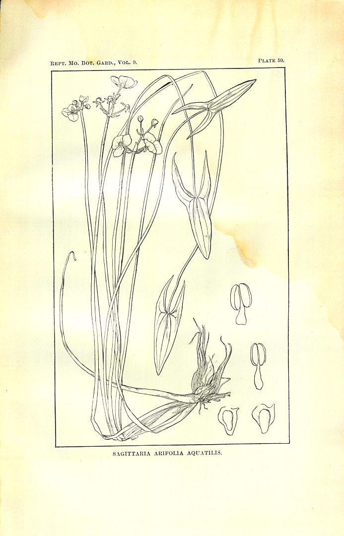 no HD illustration available (3)