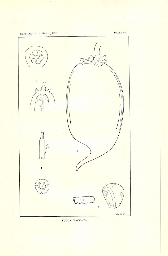 no HD illustration available (3)