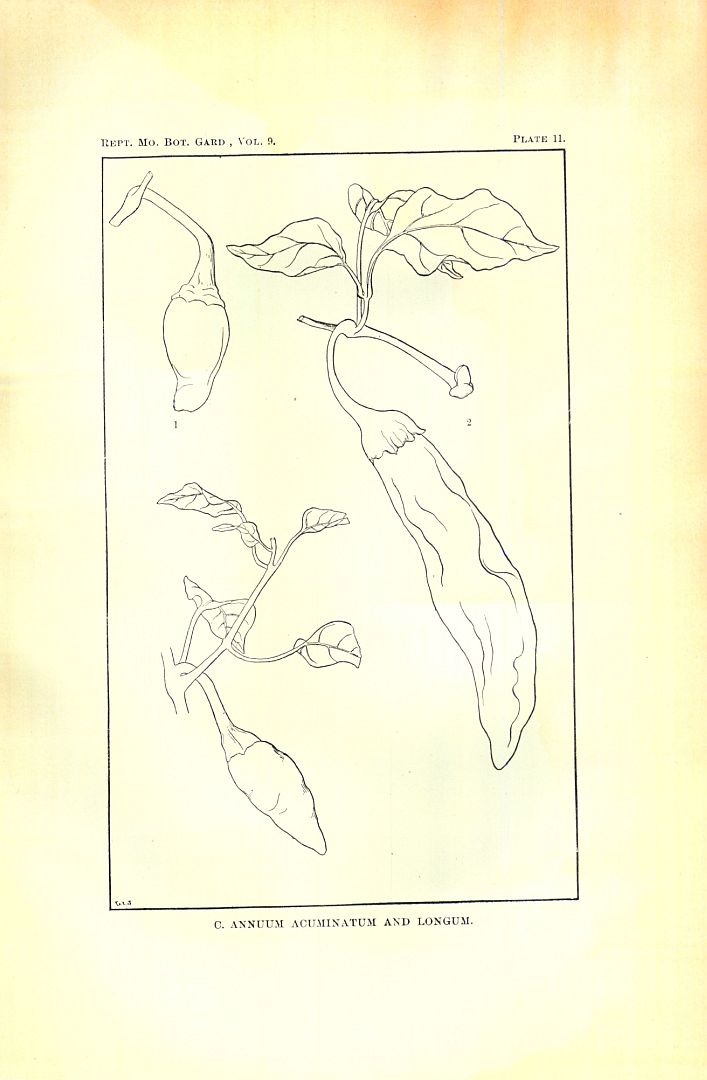 no HD illustration available (3)
