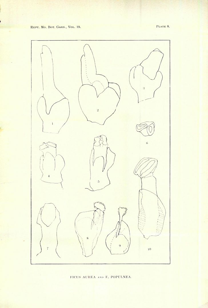 no HD illustration available (3)