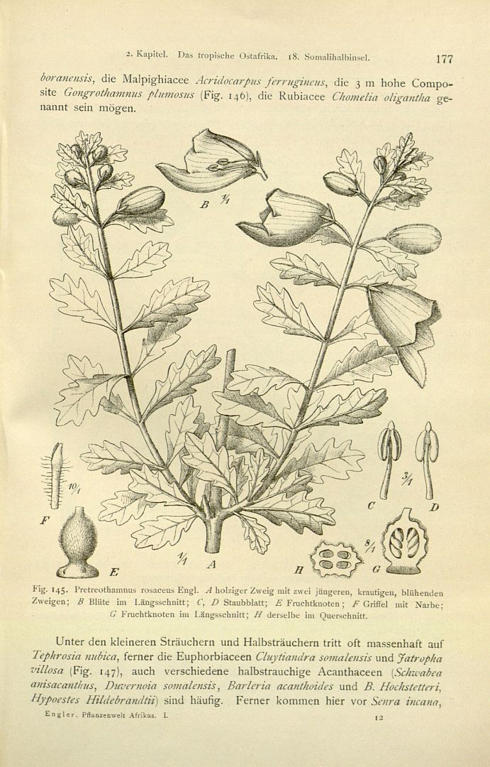 no HD illustration available (3)