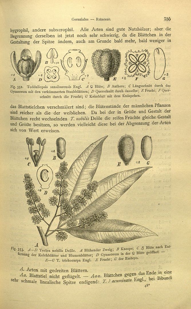 no HD illustration available (3)