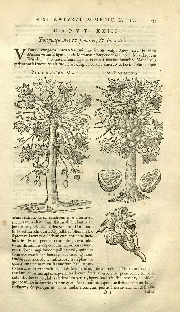 no HD illustration available (3)