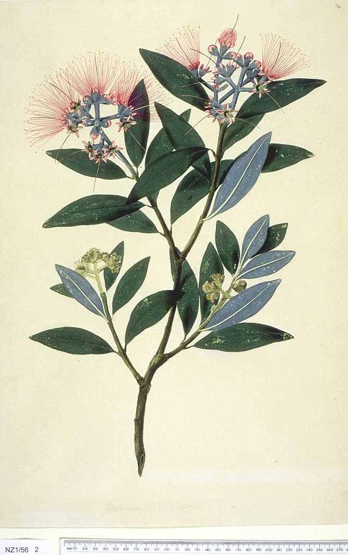 no HD illustration available (3)