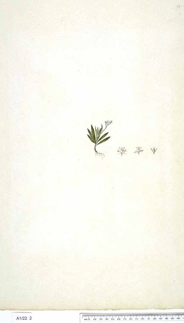 no HD illustration available (3)