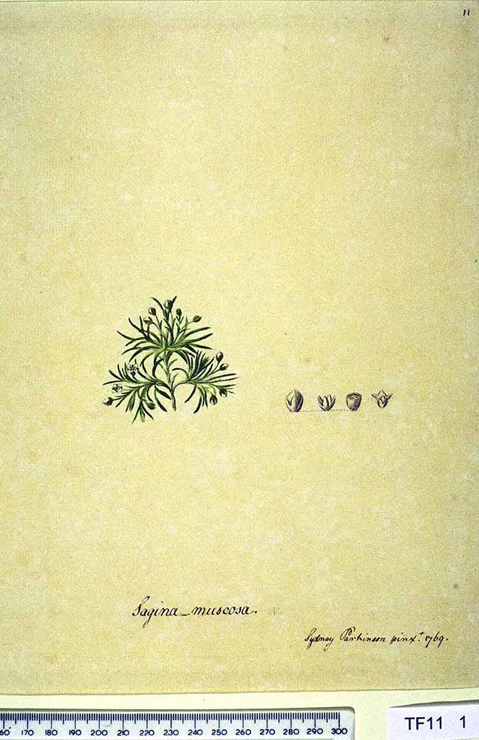 no HD illustration available (3)