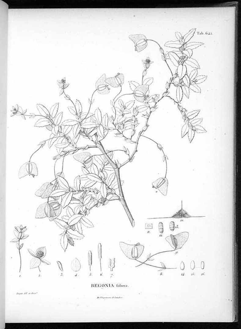 no HD illustration available (3)