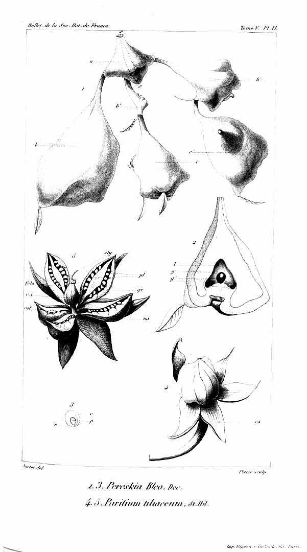 no HD illustration available (3)