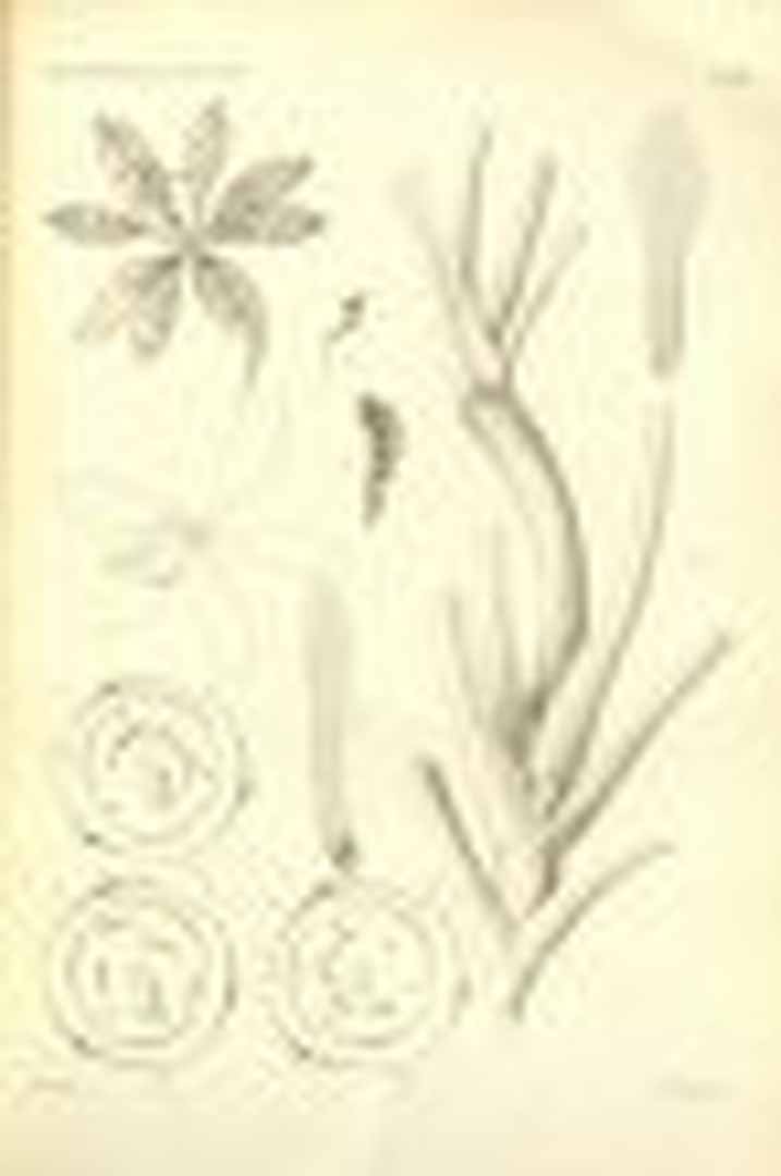 no HD illustration available (3)