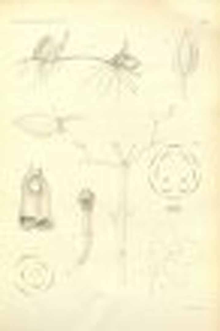 no HD illustration available (3)