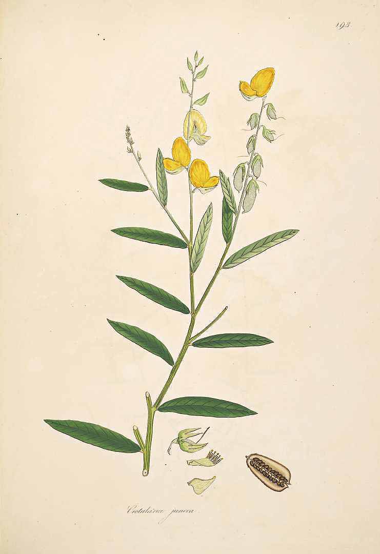 no HD illustration available (3)