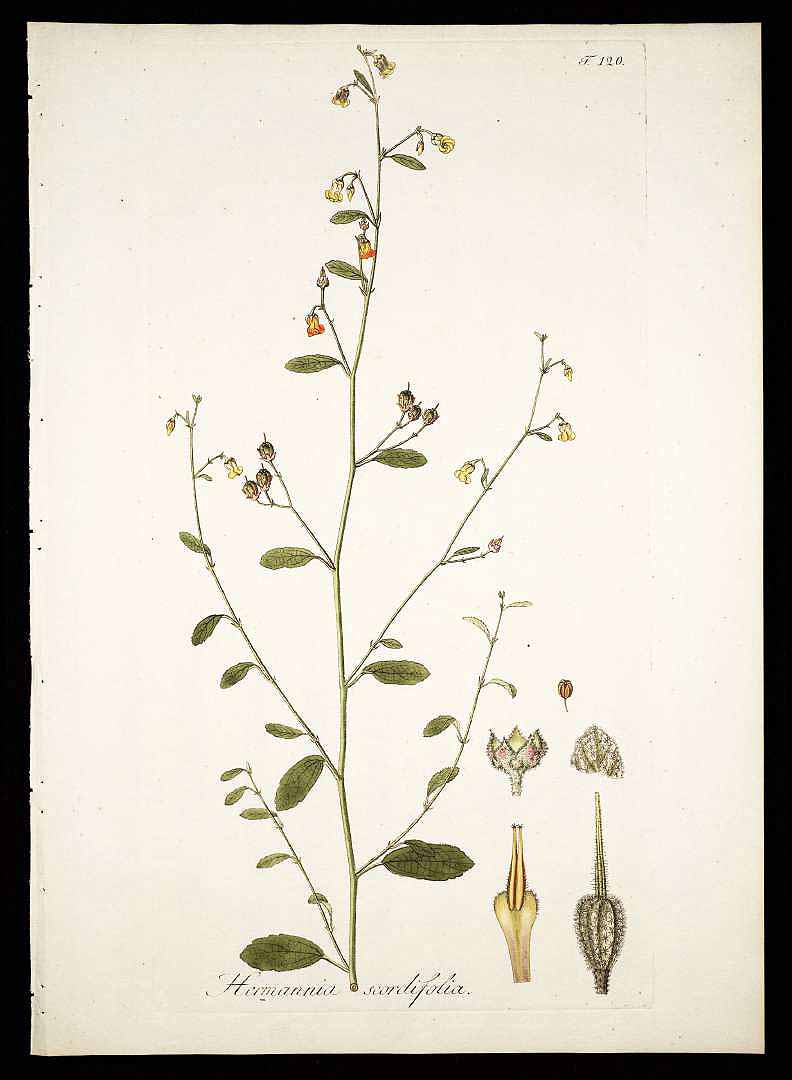 no HD illustration available (3)