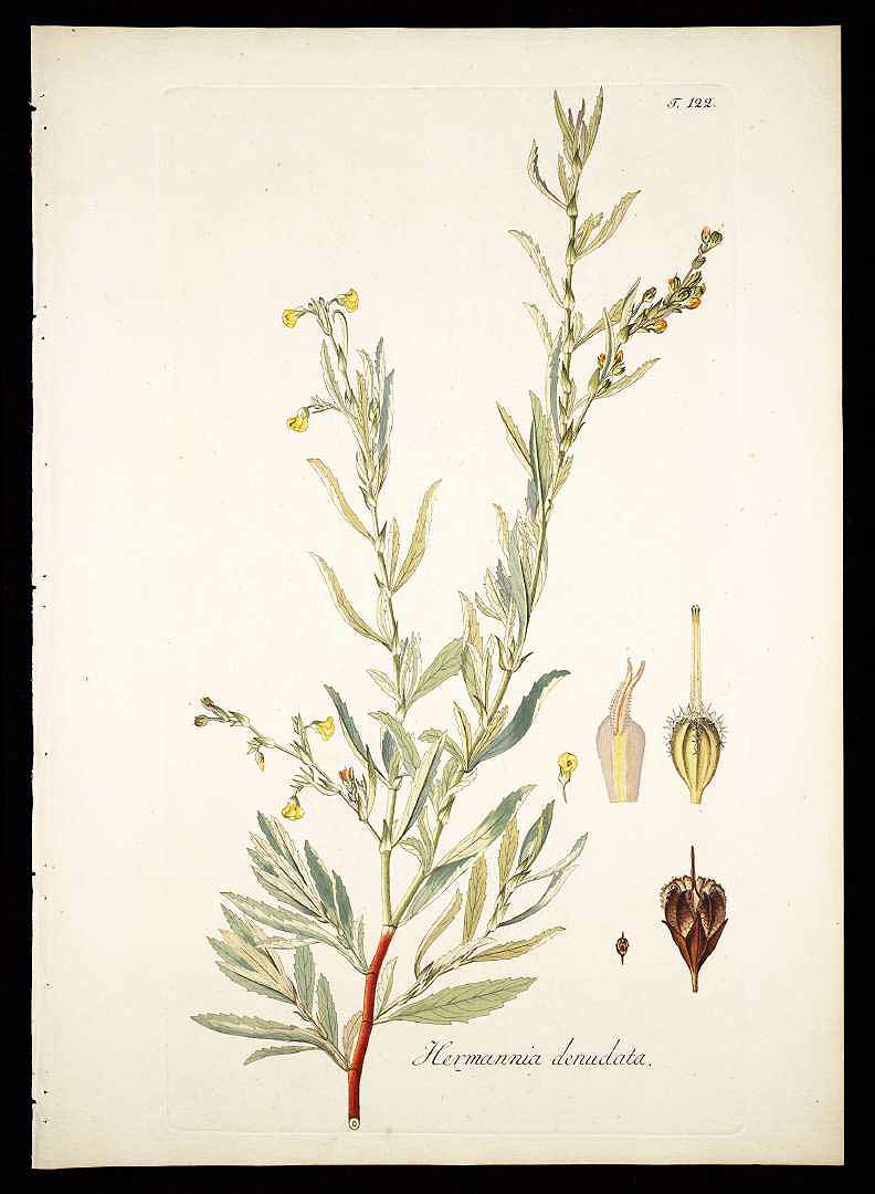 no HD illustration available (3)