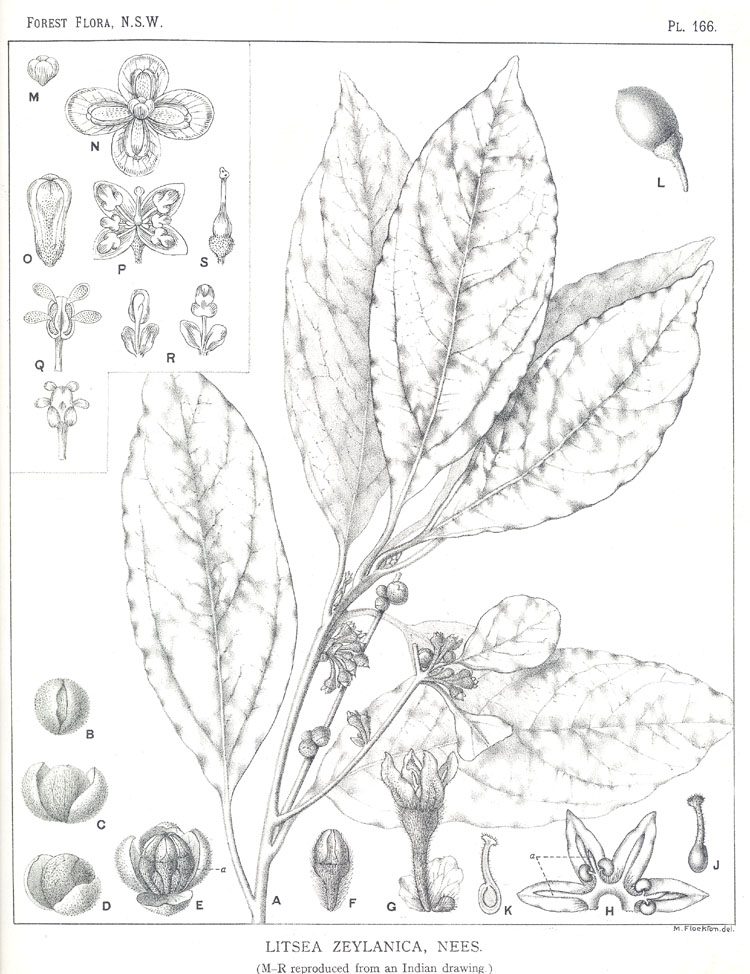 no HD illustration available (3)