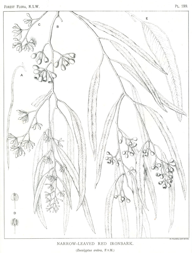 no HD illustration available (3)