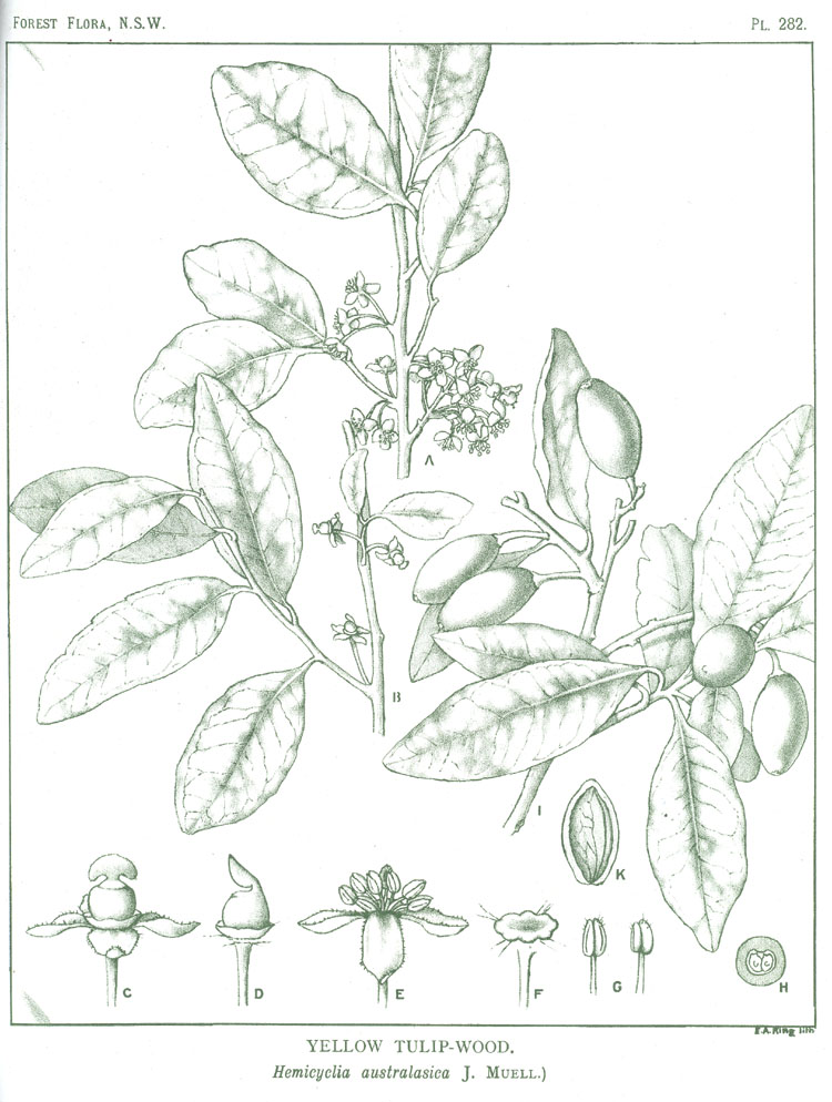 no HD illustration available (3)