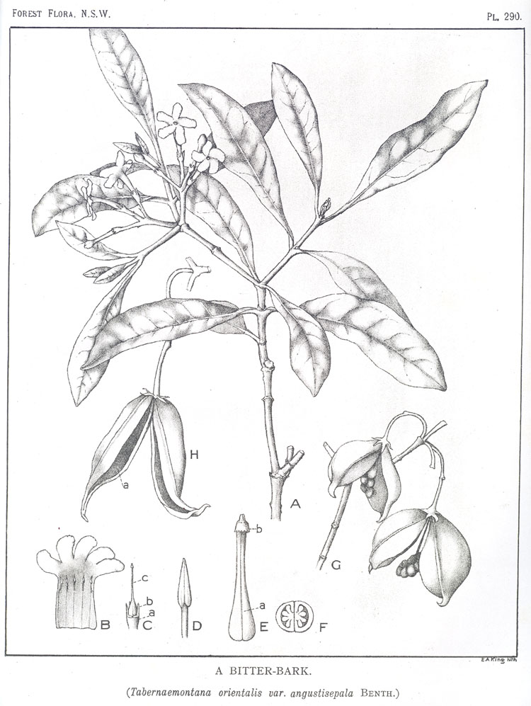 no HD illustration available (3)