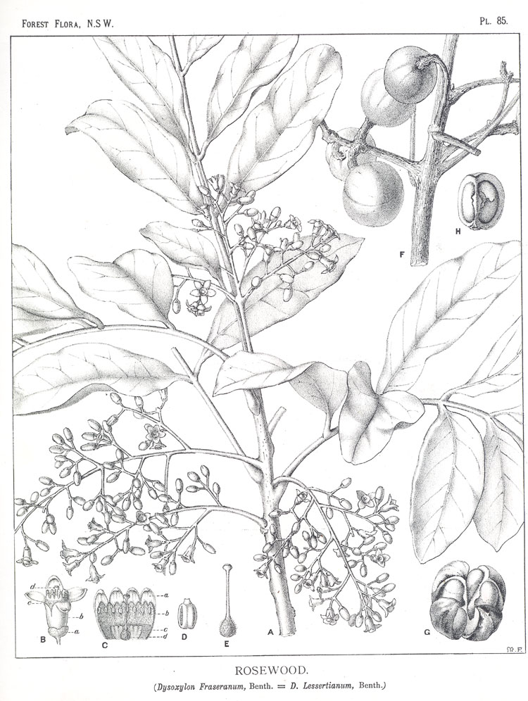 no HD illustration available (3)