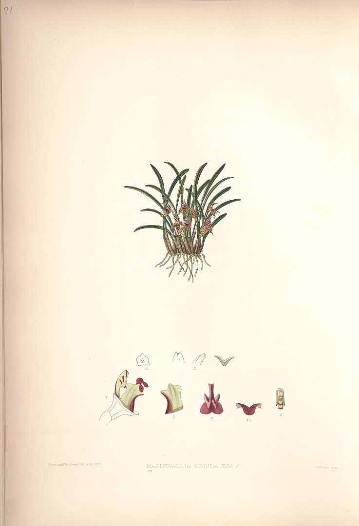 no HD illustration available (3)