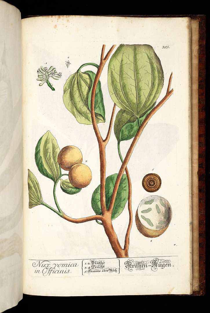 no HD illustration available (3)
