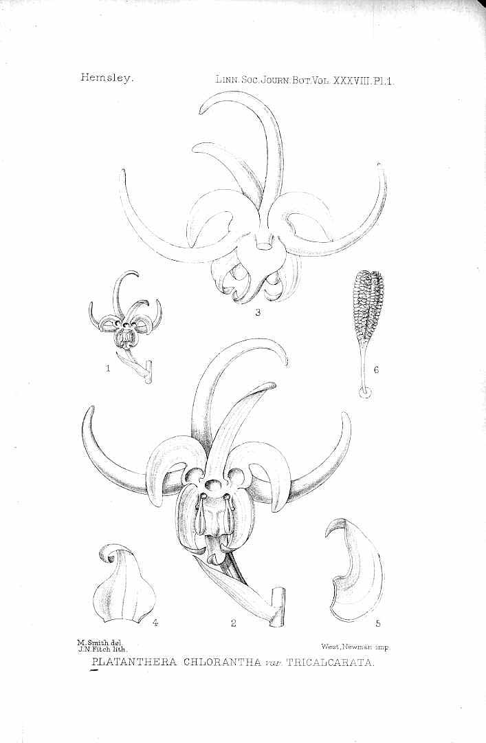 no HD illustration available (3)