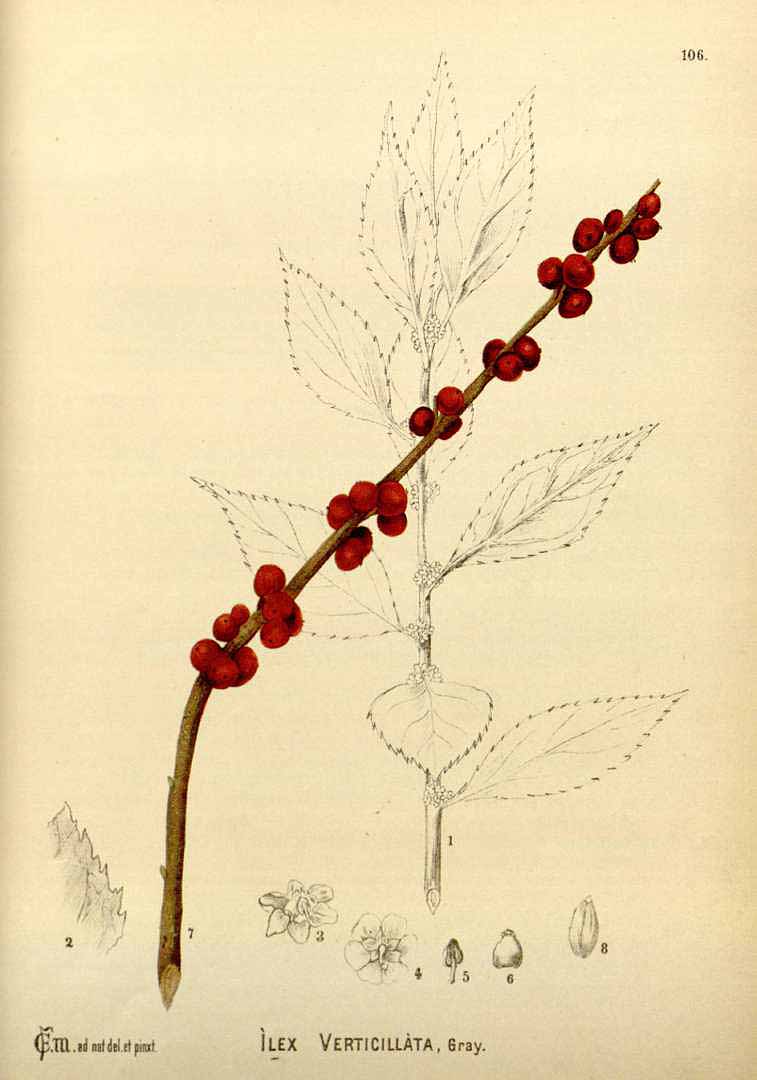 no HD illustration available (3)