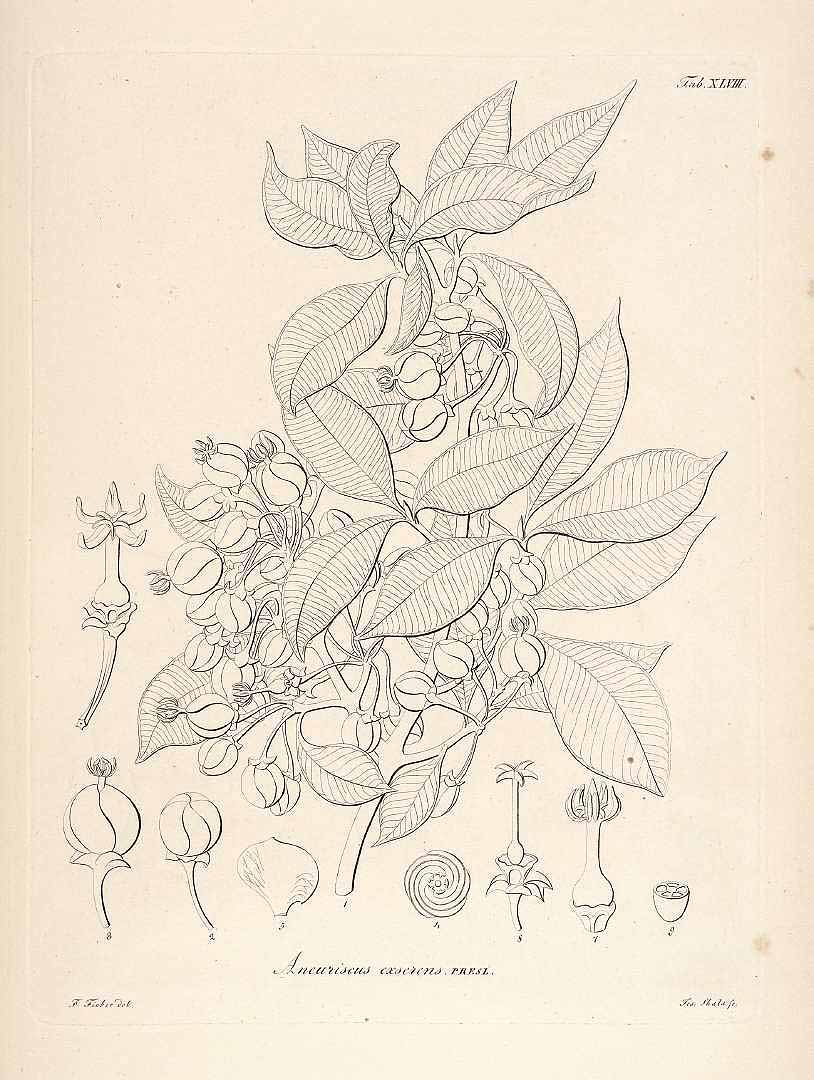 no HD illustration available (3)