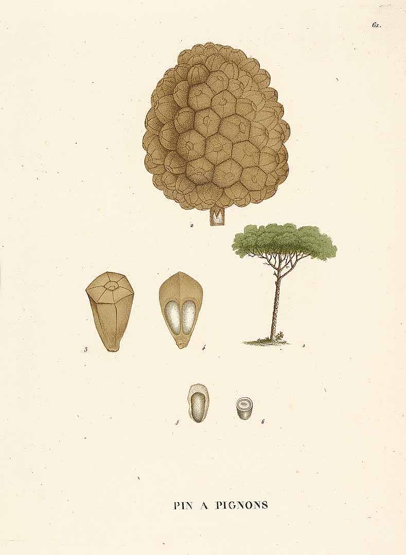 no HD illustration available (3)