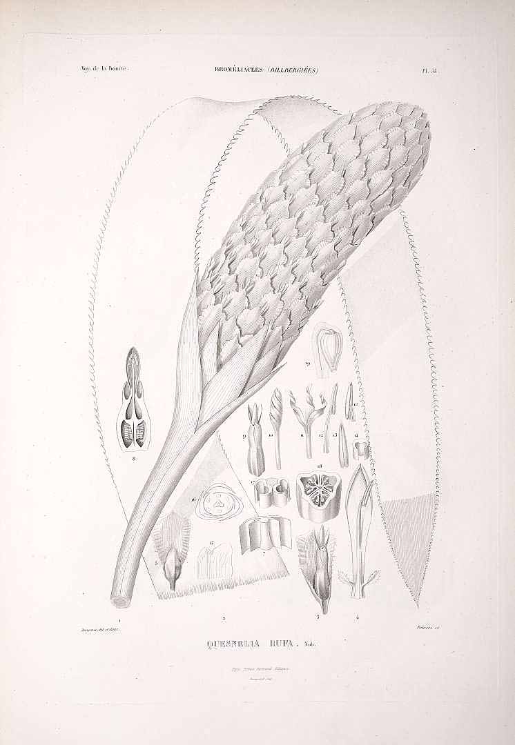 no HD illustration available (3)