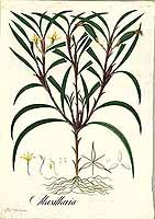  no thumbnail available (2)