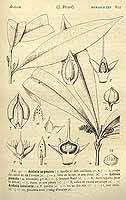  no thumbnail available (2)