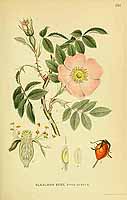  no thumbnail available (2)
