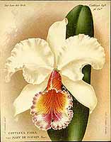  no thumbnail available (2)