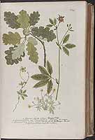  no thumbnail available (2)